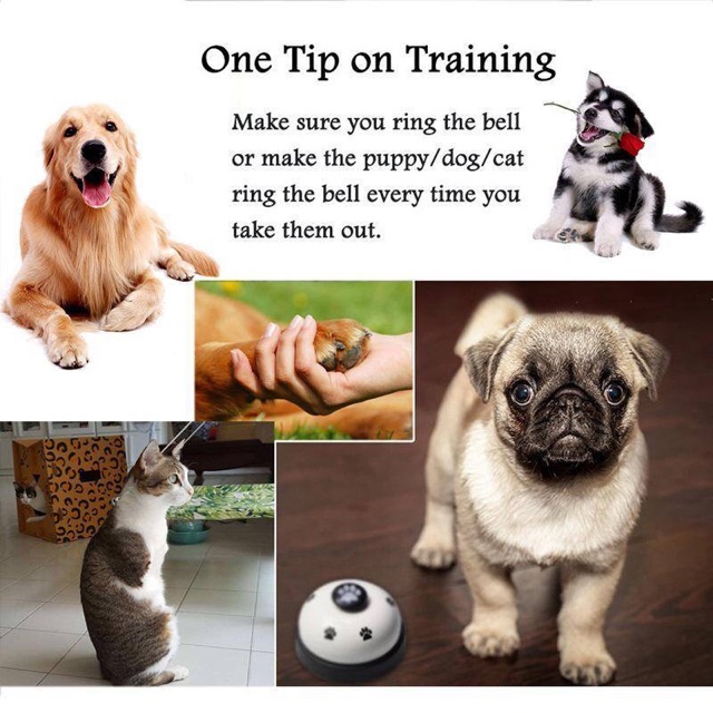 กระดิ่งฝึกสัตว์เลี้ยง-กระดิ่ง-ฝึกสุนัข-และแมว-pet-training