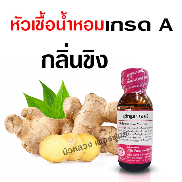 หัวเชื้อ-น้ำหอมแท้-100-กลิ่น-ขิง-เข้มข้น-อโรม่า-สปา-พร้อมส่ง-bualuang-perfume