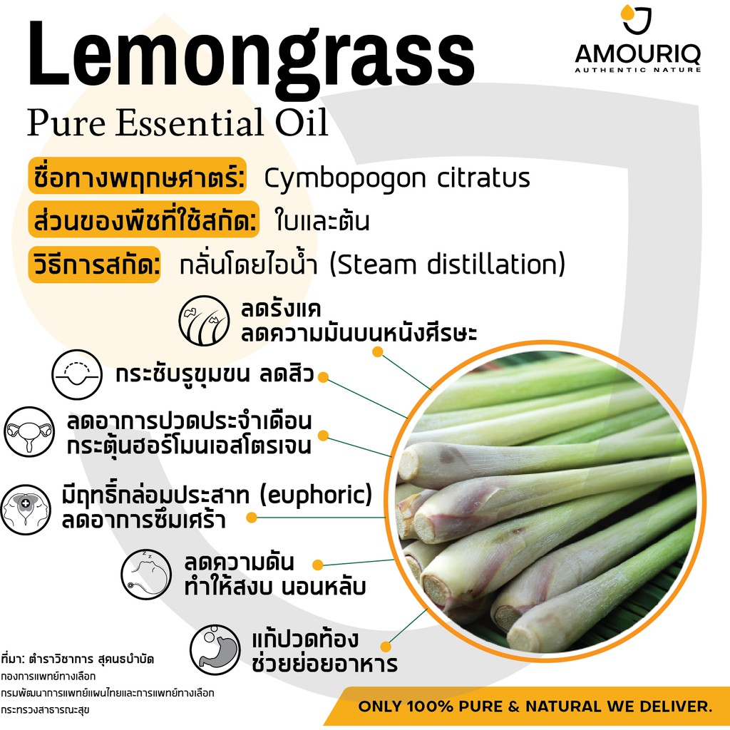 นํ้ามันหอมระเหยตะไคร้-บริสุทธิ์แท้-100-กลั่นไอน้ำเข้มข้น-lemongrass-essential-oil-steam-distilled-aroma-spa-ตะไคร้บ้าน