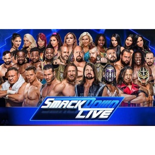 dvd มวยปล้ำsmackdownlive 2017