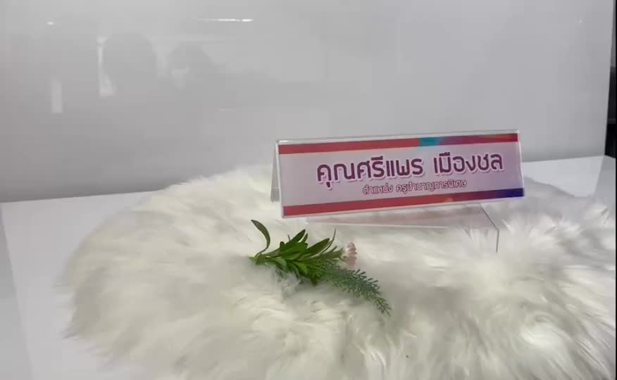 ป้ายอะคริลิค-29-x-8-cm-stand-sign-acrylic-menu-holder