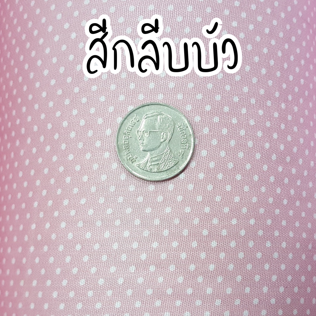 โล๊ะสต๊อก-ผ้าเมตร-คอตตอน-100-พิมพ์ลายจุด-จุดจิ๋ว-ผ้าอเนกประสงค์-ฉากถ่ายภาพ-ผ้าพันคอ-ผ้าพันเอว-diy-งานตกแต่ง