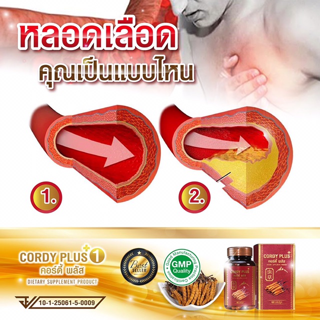 ถั่งเช่าแท้-ส่งฟรี-ถั่งเช่าทิเบตแท้-cordy-plus1-1แถม1