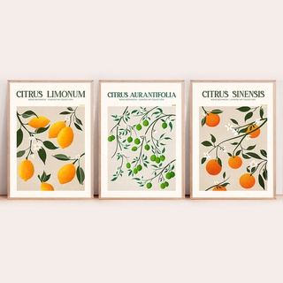 โปสเตอร์ พิมพ์ลายผลไม้ มะนาว ส้ม สไตล์นอร์ดิก สําหรับตกแต่งผนังบ้าน ร้านอาหาร