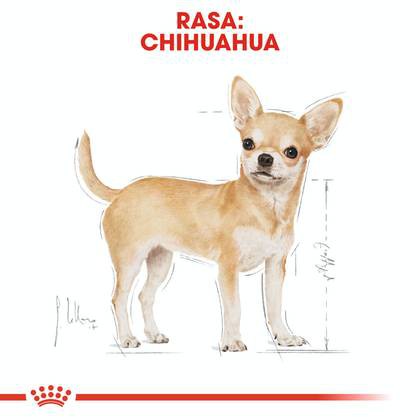 royal-canin-dog-chihuahua-adult-1-5-kg-อาหารสุนัขโต-พันธุ์-ชิวาว่า-อาหารสุนัข