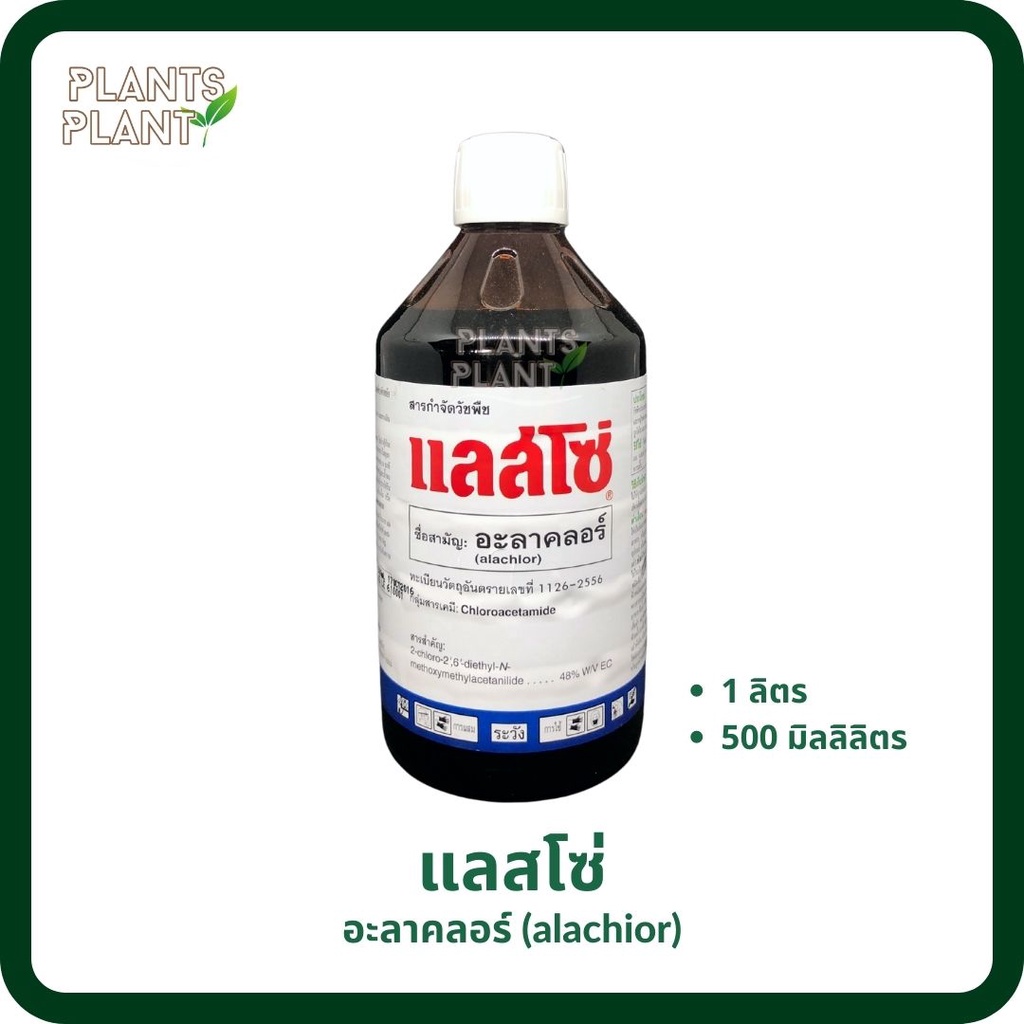อะลาคลอร์ (alachlor) แลสโซ่ กำจัดวัชพืช เช่น หญ้านกสีชมพู หญ้าตีนนก ...