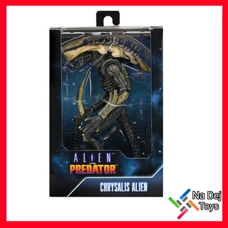 NECA Alien vs Predator Chrysalis Alien 7