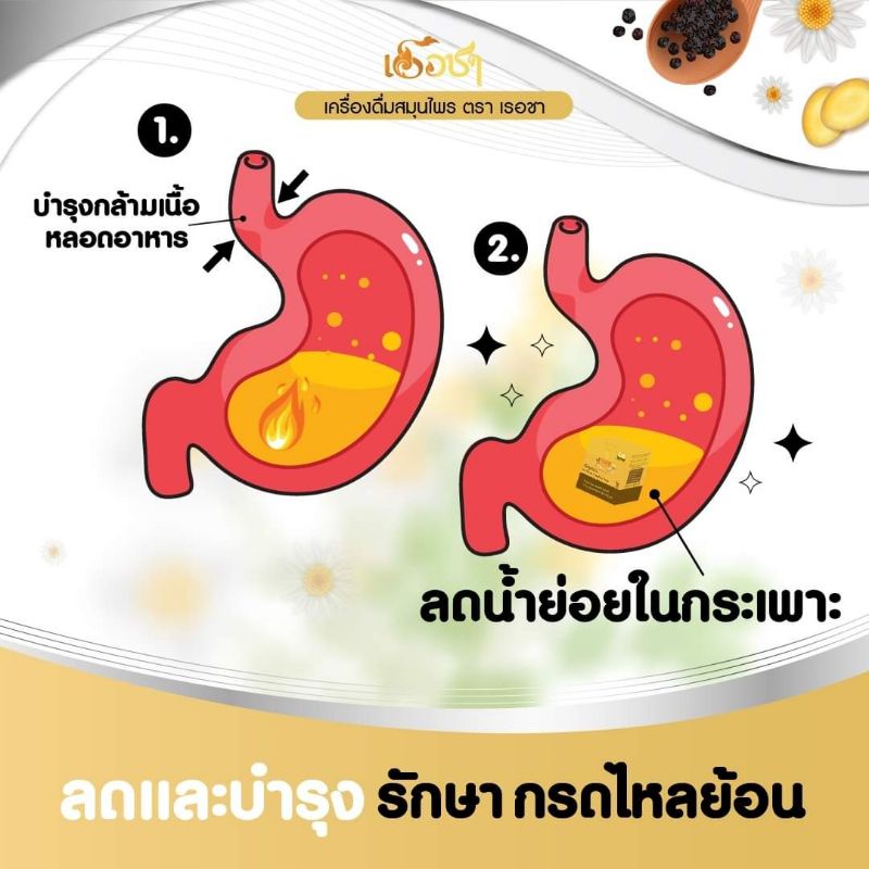 ส่งฟรี-recha-เรอชา-ชากรดไหลย้อน-ชาแก้กรดไหลย้อน-ชาลดกรดไหลย้อน-ชาบรรเทากรดไหลย้อน-สมุนไพรลดกรดไหลย้อน