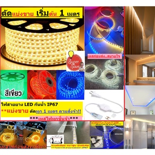 ภาพหน้าปกสินค้า*ถูกที่สุด*ไฟเส้น Led Strip 5050 220v 60led/m IP67 ขายขั้นต่ำ ราคาเมตรละ 29 บาท (ไม่มีอะแดปเตอร์) ต้องซื้ออะแดปเตอร์แยก ที่เกี่ยวข้อง