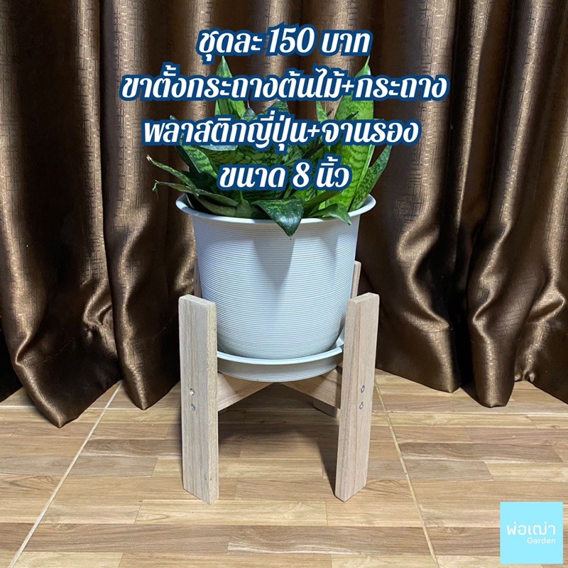 กระถางพลาสติก-จานรอง-ขาตั้งกระถางต้นไม้-ชุดสุดคุ้ม-กระถาง-กระถางต้นไม้-ขาตั้ง-ขาตั้งกระถางต้นไม้