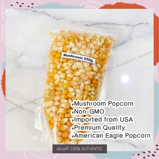 [ของแท้ พร้อมส่ง] เมล็ดป๊อปคอร์น mushroom popcorn ยี่ห้อ american eagle เม็ดกลม ทรงเห็ด คัดเกรดพรีเมี่ยมเท่านั้น 250g.
