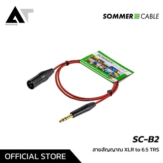 Sommer Cable Basic SC-B2 สายสัญญาณคุณภาพสูง XLR to 6.5 TRS AT Prosound