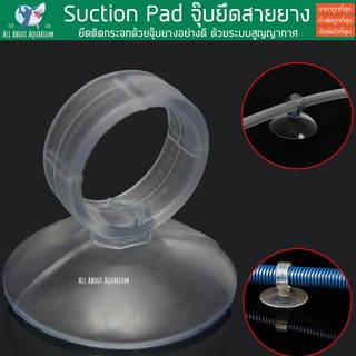 (จุ๊บยางล็อคท่อแบบกลม) Dazs Suction Pad จุ๊บยึดสายยาง 12/16 13/17mm จุ๊บสำหรับยึดสายยาง จุ๊บสายยาง จุ๊บหนีบท่อ จุ๊บยาง