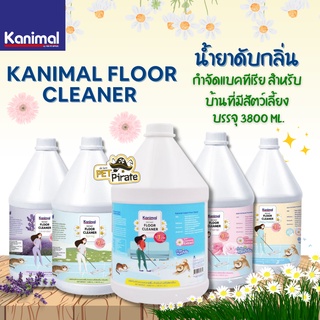 ภาพหน้าปกสินค้าKanimal Floor Cleaner น้ำยาดับกลิ่น น้ำยาถูพื้น น้ำยาฆ่าเชื้อโรค กำจัดแบคทีเรีย สำหรับบ้านที่มีสัตว์เลี้ยง บรรจุ 3800 ml ที่เกี่ยวข้อง