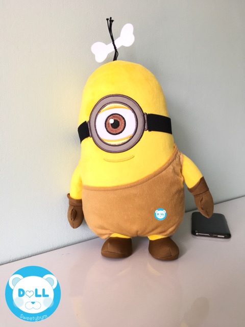 มินเนียน-minionsชุดคนป่า