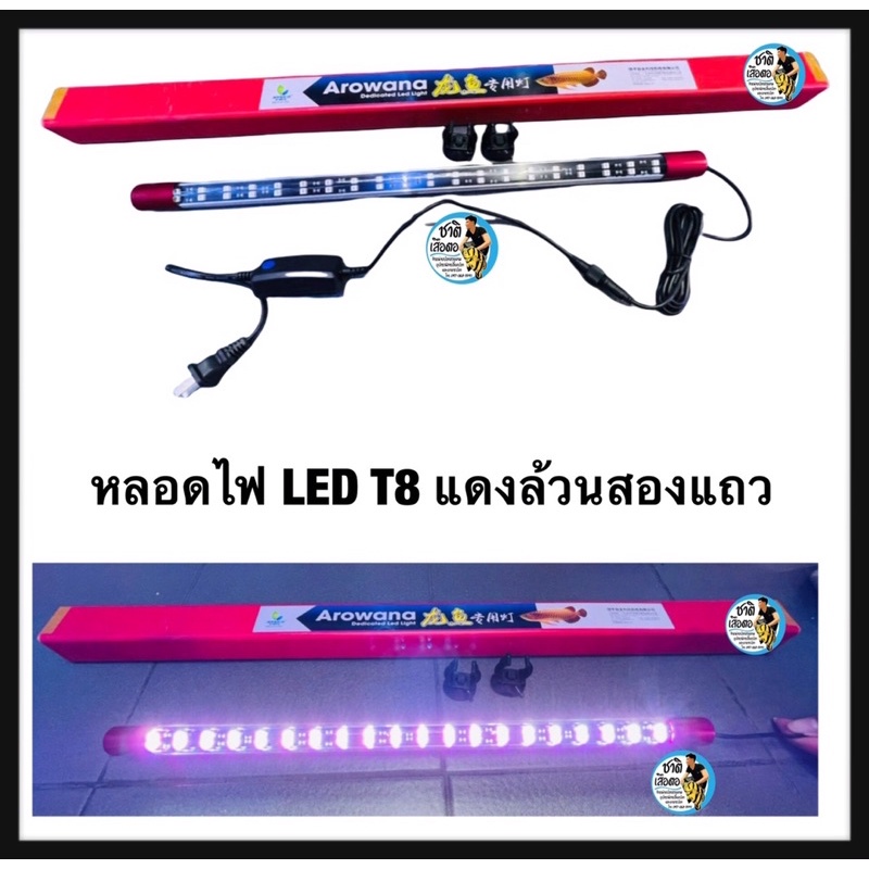 หลอดไฟled-t8-สองแถวแดง-ขนาด-120cm-สำหรับตู้48นิ้ว