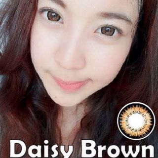 💟 Daisy , Daizy ๑ ( Kiwa ) brown gray black สายตา -00 ถึง -1000 Pitchylens Preatty doll Sweety plus Contactlens บิ๊กอาย