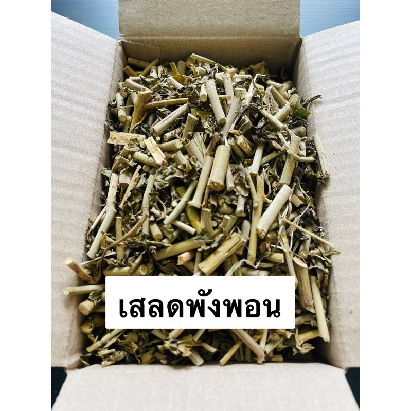 เสลดพังพอน-อบแห้ง-ราคาปลีก-ส่ง-100กรัม