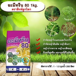 อะมีทรีน 80 1kg. ตราสิงห์ลูกโลก อะมีทรีน อามีทรีน สารกำจัดวัชพืช ใบแคบ ใบกว้าง แบบดูดซึม ชนิดผง กำจัดหญ้า allaboutplants