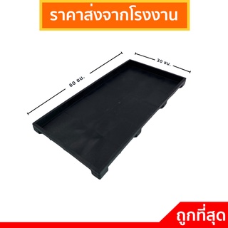 ถาดหลุม ถาดหลุมเพาะเมล็ด ถาดหลุมปลูกผัก ถาดเพาะกล้า ถาดเพาะต้นอ่อน ไม่มีรู