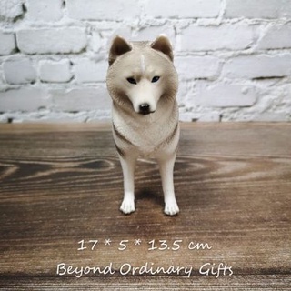 โมเดลไซบีเรียนฮัสกี้ พร้อมส่ง (Siberian Husky Model)​