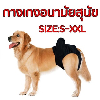 สินค้า กางเกงอนามัยสุนัข Dog Diaper ผ้าอ้อมสุนัข ผ้าอ้อมหมา กางเกงอนามัยสุนัขพันธุ์เล็ก กางเกงอนามัยสุนัข size ใหญ่