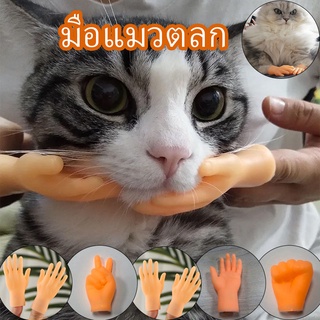 ภาพหน้าปกสินค้า🚚พร้อมส่ง🐱ของเล่นแมว มือจิ๋ว มือปลอม มือจิ๋ว ของเล่นใหม่  ของเล่นแมวตลก น่ารัก ที่เกี่ยวข้อง