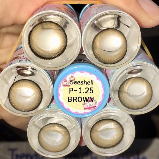 seeshell-gray-brown-สีเทา-สีน้ำตาล-บิ๊กอาย-บิ๊กอายส์-bigeye-bigeyes-contact-lens-คอนแทคเลนส์-ตาโต-โทนแบ๊ว-tiktok-ลายฮิต