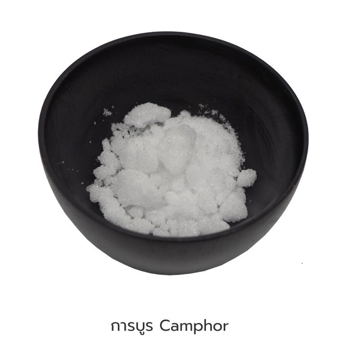 การบูร-camphor-ผงการบูร