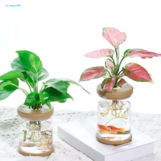 [NE] Flower Pot Automatic Water Absorbing Planter Pot Eye-catching