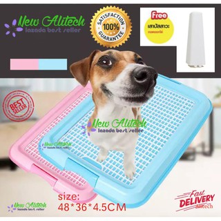 New Alitech Dog Toilet ห้องน้ำสุนัข ถาดฝึกฉี่สุนัข พร้อมเสาถอดออกได้ สำหรับสุนัขพันธุ์เล็ก Size S ขนาด 48x36x4.5 ซม.