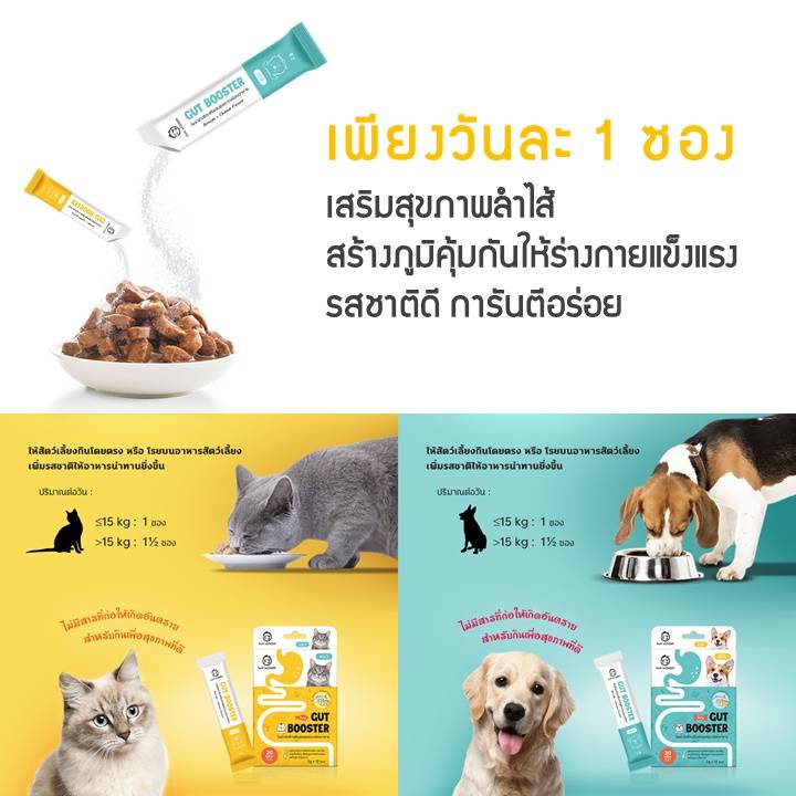 ยกกล่อง-12ซอง-gut-booster-โพรไบโอติก-สุนัขและแมว-แก้ท้องเสีย-ท้องผูก-ท้องอืด-ระบบย่อยมีปัญหา