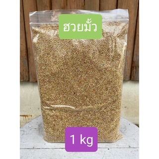 สินค้า (ขายย่อย) เมล็ดฮ่วยมั๊ว ฮวยมั่ว ฮวยมั๊ว ฮวยมั้ว เกรดA เป่าฝุ่น สำหรับนก ฝึกนก***** 🔥พร้อมส่ง🔥