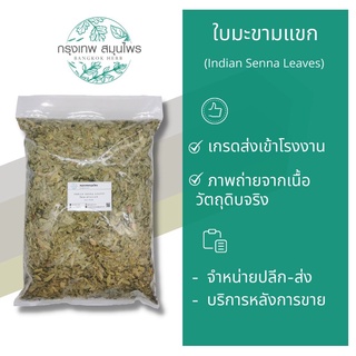 ใบมะขามแขก 1 กิโลกรัม ใบมะขามแขกอบแห้ง Indian Senna leaves