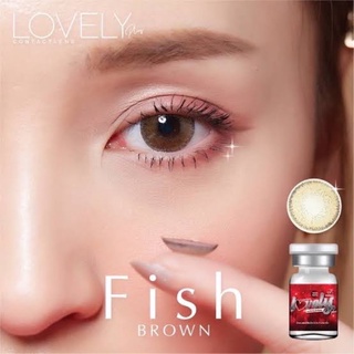 ✨Fish brown (lovely lens) ขนาดมินิ กลาง mini  ☀️กรองแสง uv ✔️เลนส์แท้จดทะเบียนถูกต้อง (บิ๊กอาย คอนแทคเลนส์ Bigeye)