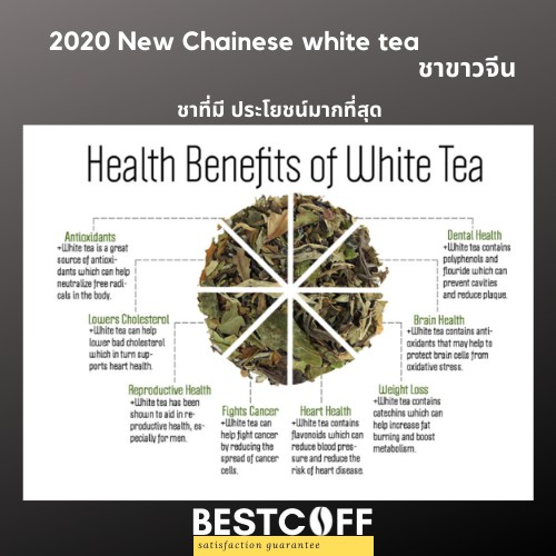 bestcoff-new-chinese-white-tea-ชาขาวจีน