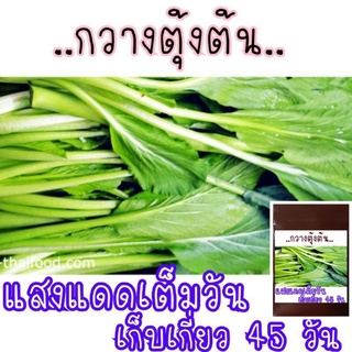 เมล็ด​พันธุ์​ กวางตุ้งต้น​ 500เมล็ด