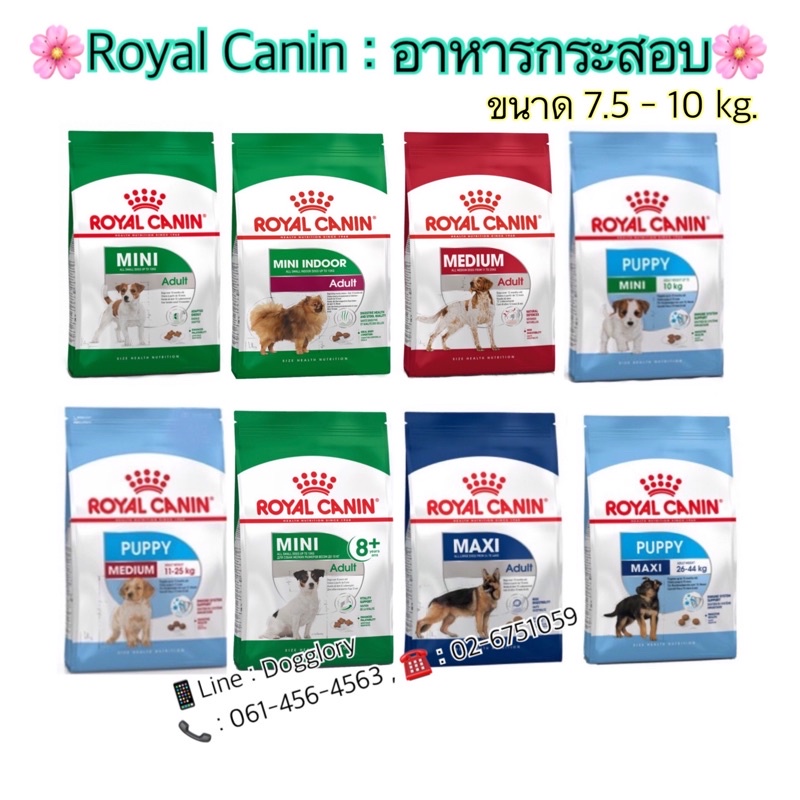 royal-canin-อาหาหมา-7-5kg-8kg-10kg-mini-adult-mini-puppy-medium-puppy-medium-maxi-mini8-indoor-adult-bulldog-medium7