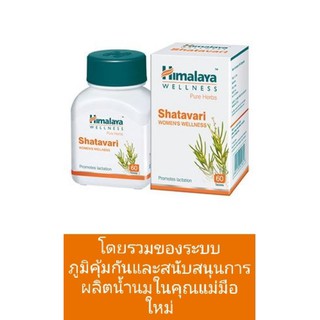 Shatavari/สมุนไพรปรับฮอร์โมน - ตัวช่วยสำหรับผู้หญิง