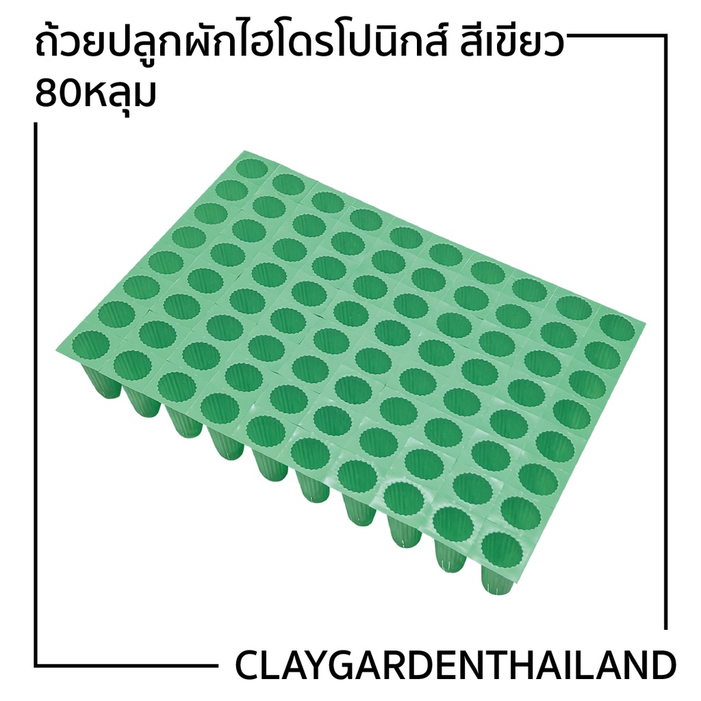 ภาพหน้าปกสินค้าถาดเพาะ ถ้วยปลูกผักไฮโดรโปนิกส์ A+ สีเขียว 80หลุม จากร้าน claygardenthailand บน Shopee