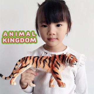 Animal Kingdom - โมเดลสัตว์ เสือโคร่ง ขนาด 33.00 CM (จากหาดใหญ่)