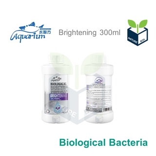 ภาพหน้าปกสินค้าBiological Bacteria - Brightening ซึ่งคุณอาจชอบราคาและรีวิวของสินค้านี้