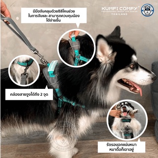 สายรัดตัวสุนัขเอาท์ดอร์ Outdoor chest strap - Kumfi Comfy จากตัวแทนจำหน่ายอย่างเป็นทางการ เจ้าเดียวในประเทศไทย