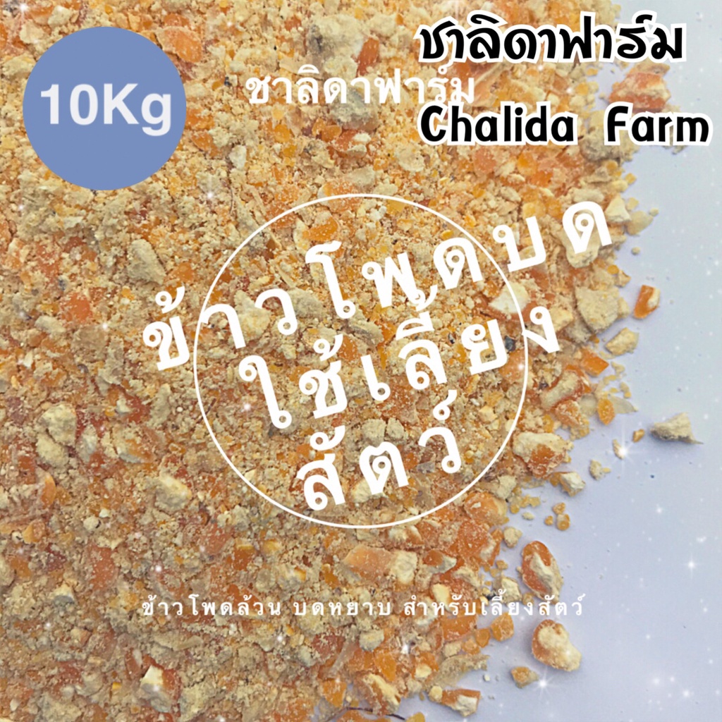 ข้าวโพดเลี้ยงสัตว์-ขนาด10กก-ข้าวโพดเลี้ยงไก่-ข้าวโพดสัตว์-ข้าวโพดสัตว์บด-ข้าวโพดบด-ข้าวโพดบดหยาบ-ข้าวโพด-สด-ใหม่