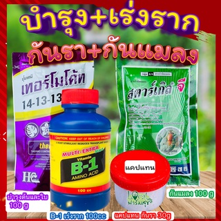 บำรุง+เร่งราก+กันรา+กันแมลง🔸 ปุ๋ยเทอร์โมโค้ท+น้ำยาเร่งรากB1+สตาร์เกิลจีกำจัดแมลง +แคปแทนกันรา ปุ๋ยกุหลาบ ปุ๋ยแคตตัส