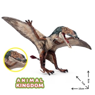 Animal Kingdom - โมเดลไดโนเสาร์ Dimorphodon เขียว ขนาด 15.00 CM (จากหาดใหญ่)