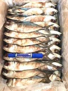 ภาพขนาดย่อของภาพหน้าปกสินค้าปลาทูมัน ปลาทูเค็มน้อย  500 กรัม ส่งฟรี จากร้าน driedseafoodthachalom บน Shopee