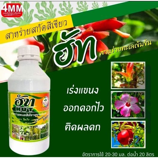 ฮัท-ขนาด-1-000-ซีซี-สาหร่ายทะเลสีเขียวสูตรเข้มข้น