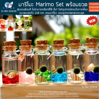 (พร้อมส่ง )มาริโมะ Marimo Set ขวดจิ๋ว 2x8cm. แถมฟรีอุปกรณ์ครบชุดพร้อมเลี้ยง สาหร่ายตกแต่งตู้ปลา สาหร่ายมาริโมะ ของขวัญ