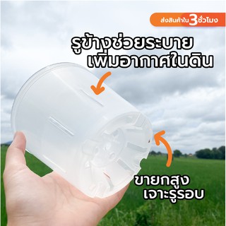 ราคากระถาง ใส เจาะรูข้าง ปลูกต้นไม้ สามารถมองทะลุ เห็นรากที่เกิดขึ้นมาได้ Transparent Tree pot